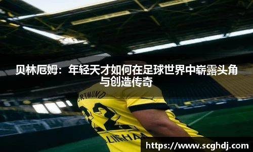 球王会体育