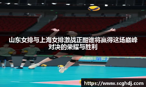 山东女排与上海女排激战正酣谁将赢得这场巅峰对决的荣耀与胜利