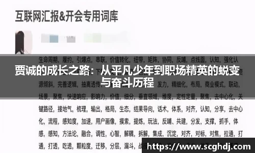 贾诚的成长之路：从平凡少年到职场精英的蜕变与奋斗历程